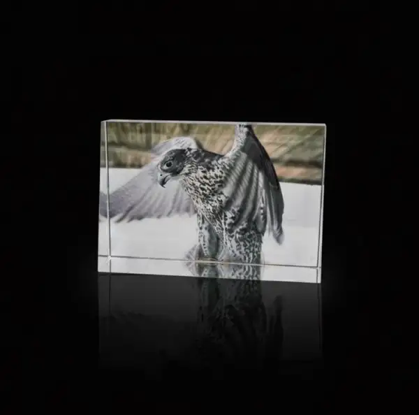 Crystal Glass Desk Decor – Featuring MB Gallery’s Falcon Photography