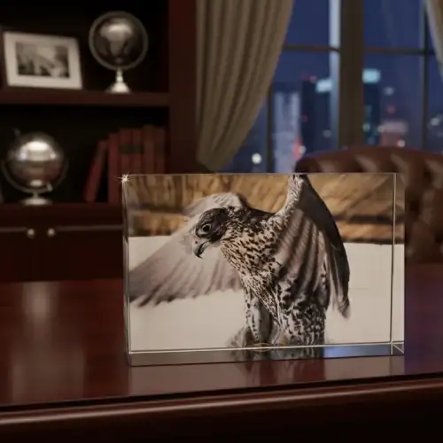 Crystal Glass Desk Decor – Featuring MB Gallery’s Falcon Photography