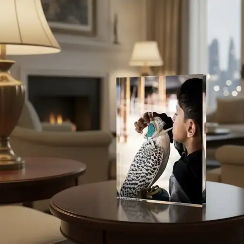 The Falcon & The Boy